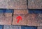 roof shingles